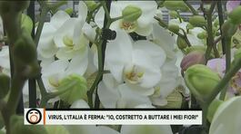L'Italia è ferma: "io, costretto a buttare i miei fiori" thumbnail
