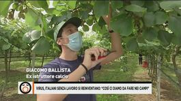 Virus, italiani senza lavoro si reinventano: "Così ci diamo da fare nei campi" thumbnail
