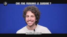 INTERVISTA: Le Sardine al citofono con Salvini: "Sei quello che doveva vincere in Emilia?" thumbnail