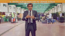 Il centro agroalimentare più grande d'Italia thumbnail