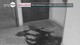 Omicidio Lecce: l'uccisione brutale di Eleonora e Daniele thumbnail