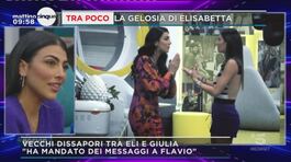 GF Vip: lo scontro tra Elisabetta e Giulia thumbnail