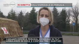 In diretta dall'ospedale di Perugia thumbnail