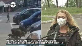 Roma: la donna derubata dai cinghiali thumbnail