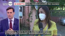 Roma, Monte Mario: in diretta dalla scuola davanti alla quale passano i cinghiali thumbnail