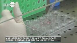 Covid: variante Delta in Italia, focolai sparsi thumbnail