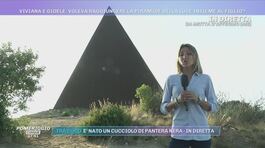 Viviana e Gioele: voleva raggiungere la piramide della luce insieme al figlio? thumbnail