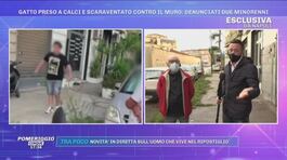 Napoli, gatto preso a calci e scaraventato contro il muro: denunciati due minorenni thumbnail