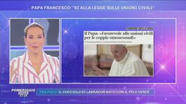 Papa Francesco: ''Si alla legge sulle unioni civili'' thumbnail