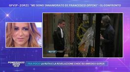 GFVIP - Zorzi: ''Mi sono innamorato di Francesco Oppini'' thumbnail