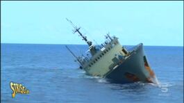 Sea Shepherd, la Onlus che protegge il mare thumbnail