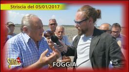 Foggia, terreni in concessione messi in vendita thumbnail
