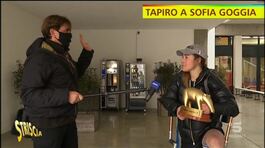 Tapiro d'oro a Sofia Goggia thumbnail