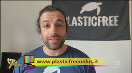 Plasticfree, a raccolta di rifiuti che fa bene all'ambiente thumbnail