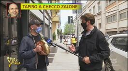 Tapiro d'oro a Checco Zalone thumbnail