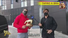 Ibrahimovic fuori dagli Europei, arriva il Tapiro d'oro thumbnail
