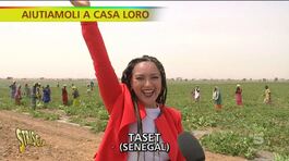 L'oro nascosto del Senegal thumbnail