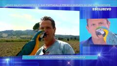 Enzo Salvi aggredito con il suo pappagallo