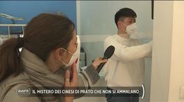 Il mistero dei cinesi di Prato che non si ammalano thumbnail