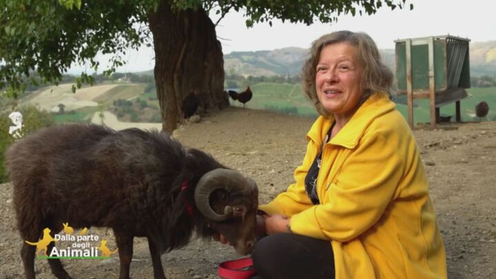 La Fattoria Degli Animali Piccoli E Strani Dalla Parte Degli Animali Video Mediaset Play