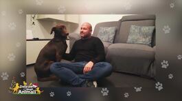 Paolo e la cagnolina Azzurra thumbnail