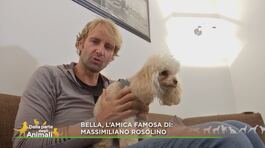 Bella, l'amica famosa di: Massimiliano Rosolino thumbnail