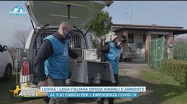 Leidaa - Lega italiana difesa animali e ambiente thumbnail