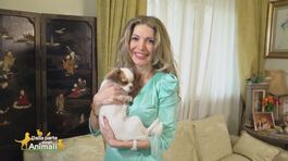 Lady Dior, la cagnolina vanitosa di...Maria Monsè thumbnail