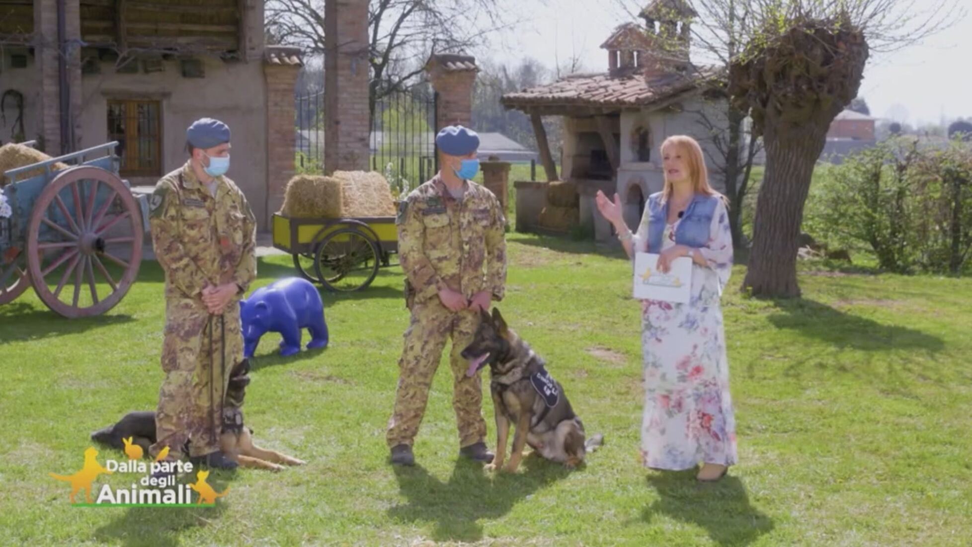 Dalla parte degli animali L unit cinofila dell Aeronautica militare di Grosseto Video Mediaset Infinity