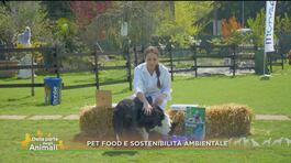Pet food e sostenibilità ambientale thumbnail
