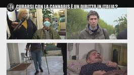 SCHEMBRI: Curarsi con la cannabis è davvero un diritto in Italia? thumbnail