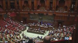 Green pass, cannabis è battaglia su tutto thumbnail