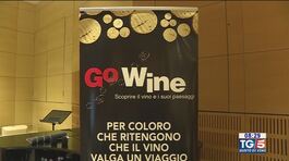 Gusto di Vino: ad Alba per i 20 anni di Go Wine thumbnail