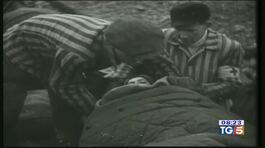 Giornata della Memoria, celebrazioni ufficiali thumbnail