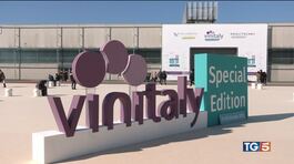 Vinitaly, è ripartenza export vale 7 miliardi thumbnail