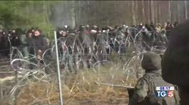 Crisi migranti tra Bielorussia e Polonia thumbnail