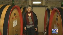 Gusto di Vino: Le 900 donne del vino thumbnail