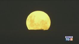 Spettacolo Luna thumbnail