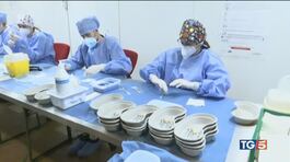 2,2 milioni di dosi di Pfizer domani alle regioni thumbnail