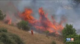 Inferno incendi al sud, in fumo 100mila ettari thumbnail