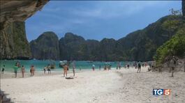 Thailandia, stop creme: danneggiano i coralli thumbnail