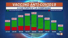 Vaccini in spiaggia, controlli e multe thumbnail
