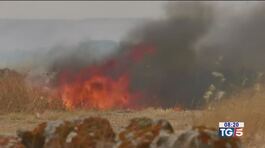 Incendi, anno zero Sos desertificazione thumbnail