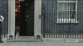 Larry, 10 anni a Downing Street thumbnail