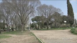 Roma, ancora caccia a l'uomo che ha violentato una ragazza in un parco thumbnail