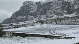 Neve in Sicilia, delfini in laguna thumbnail