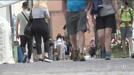 Verso il bianco, vaccini record thumbnail