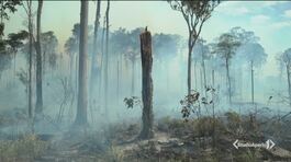 L'ambiente è malato, curiamolo thumbnail