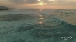 Aziende cosmetiche e oceano thumbnail