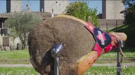 Il prosciutto toscano dop thumbnail